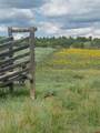 TBD Hanks Valley Road - Photo 8