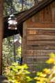10931 County Road 742 - Photo 36