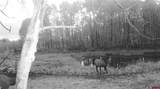 81924 & 82100 Highway 92 - Photo 23