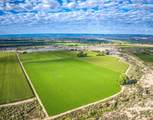 1449 Highway 50 - Photo 4