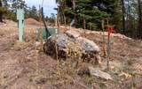 Lot 15 Taylor Ranch Road - Photo 12
