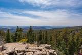 Lot 15 Taylor Ranch Road - Photo 13