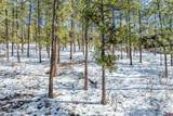 1067 Red Canyon Trail - Photo 19