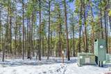 1067 Red Canyon Trail - Photo 26