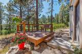 710 Stagecoach Trail - Photo 34