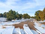1893 Cotton Road - Photo 22