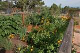 75707 B76 Road - Photo 42