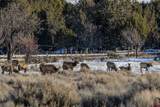 75707 B76 Road - Photo 44