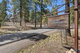 212 Copper Rim Trail - Photo 42