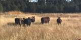 940 County Road 973 - Photo 23