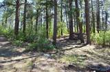 1000 Twin Buttes Ave. - Photo 11