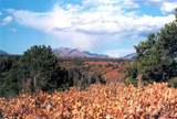 TBD De Oro Way - Photo 12