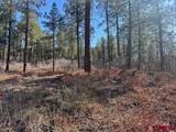 1086 Edgemont Highlands Drive - Photo 8