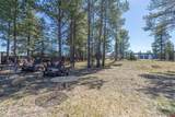 118 Pagosa Boulevard - Photo 21