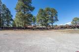 118 Pagosa Boulevard - Photo 22
