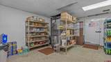715 Horizon Drive - Photo 10