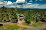 1211 Cool Pines Drive - Photo 3