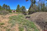 1211 Cool Pines Drive - Photo 44