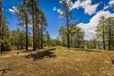 TBD Durango Cliffs Drive - Photo 11