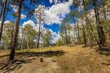 TBD Durango Cliffs Drive - Photo 25