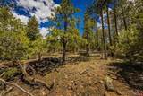 TBD Durango Cliffs Drive - Photo 26