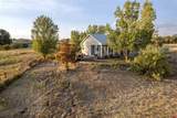 17455 Hwy 491 - Photo 6