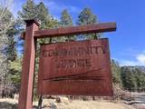 767 Red Canyon Trail - Photo 11