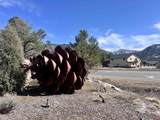 767 Red Canyon Trail - Photo 13