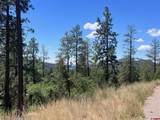 767 Red Canyon Trail - Photo 16
