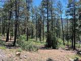 767 Red Canyon Trail - Photo 17