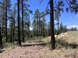 767 Red Canyon Trail - Photo 19