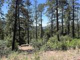 767 Red Canyon Trail - Photo 20