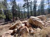 767 Red Canyon Trail - Photo 4