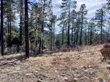 767 Red Canyon Trail - Photo 5