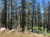 767 Red Canyon Trail - Photo 6