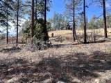 767 Red Canyon Trail - Photo 7