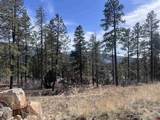 767 Red Canyon Trail - Photo 8