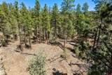 91 Ambush Canyon - Photo 16