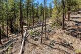 91 Ambush Canyon - Photo 18