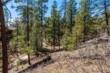 91 Ambush Canyon - Photo 20