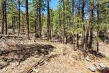 91 Ambush Canyon - Photo 22