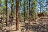 91 Ambush Canyon - Photo 23