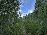 162 Double Diamond Drive - Photo 5