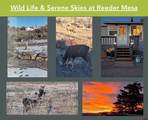6777 Reeder Mesa Road - Photo 45