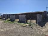 16499 Co Rd 55 Road - Photo 15
