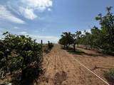 12383 Road M - Photo 10