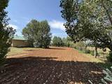 12383 Road M - Photo 13