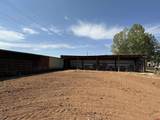 12383 Road M - Photo 16