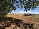 12383 Road M - Photo 18