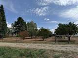 12383 Road M - Photo 36